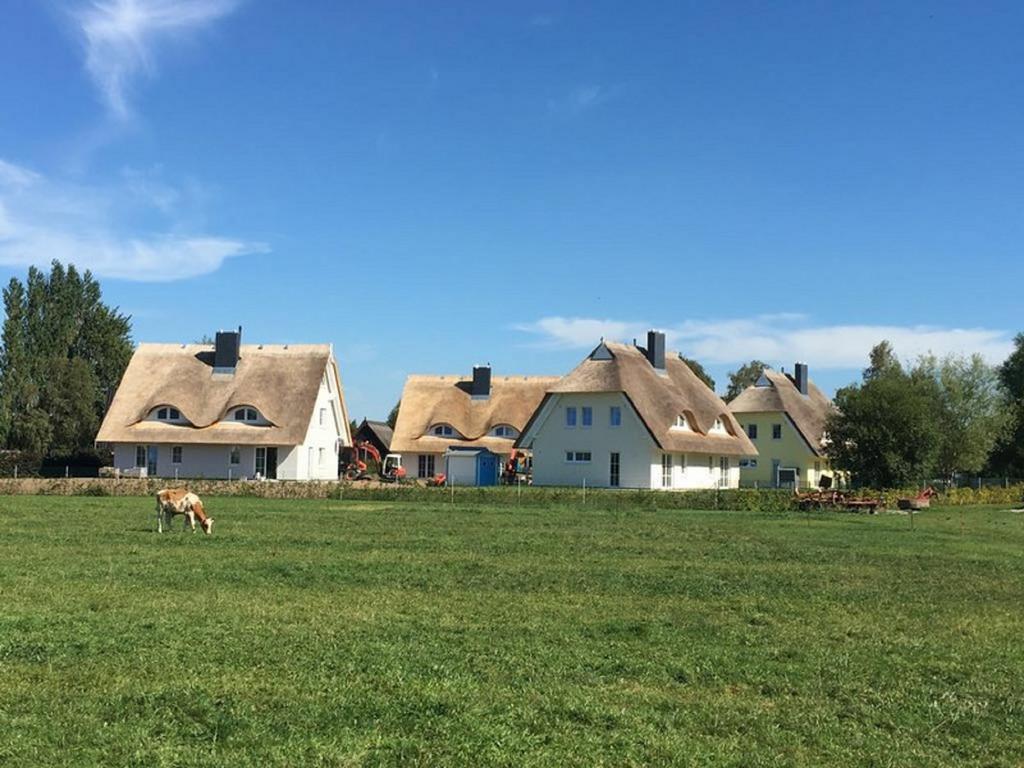 Reetdachhaeuser Boergerende ภายนอก รูปภาพ
